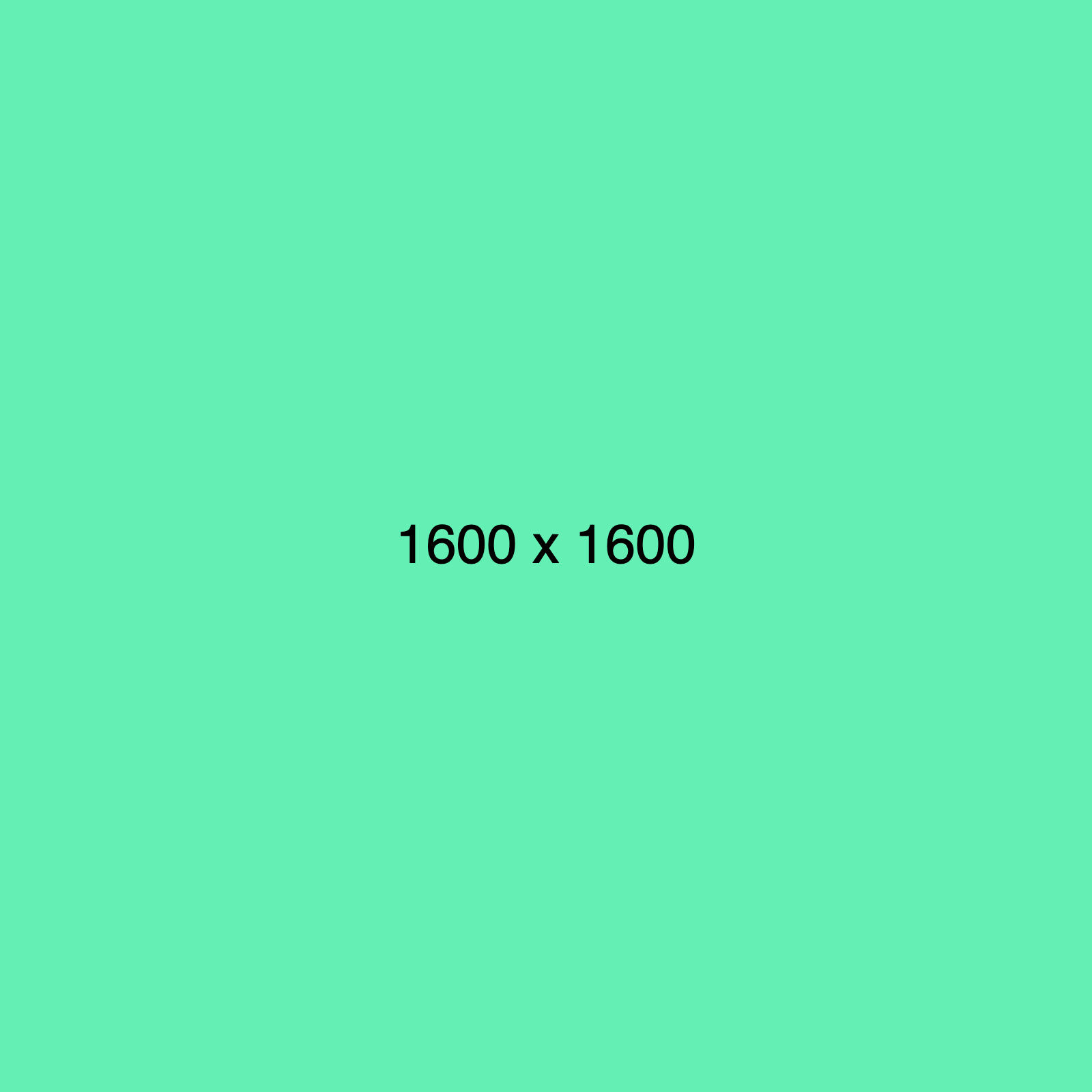 1600x1600